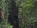 Tn DSC 3955